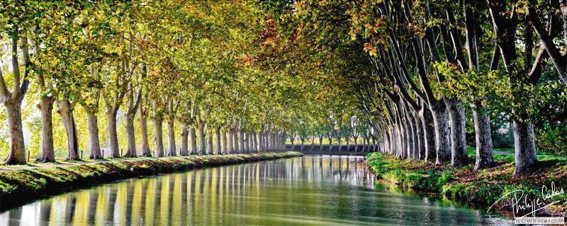 Ibis Budget Sud A9/a61 Narbonne